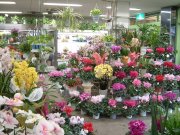 「フラワーショップナリタ」　（埼玉県久喜市）の花屋店舗写真2